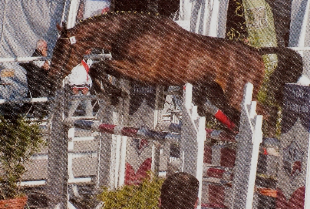 Atlethic Girl Championnat de France des 2 ans St LÔ