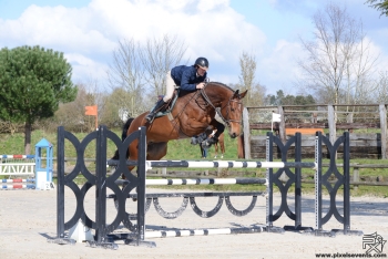 Retour des chevaux en concours