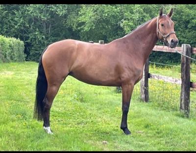 <br />
<b>Notice</b>:  Undefined index: offres in <b>/home/web/digistal3/elevagedesparts/page/impression-fiche.php</b> on line <b>47</b><br />
<br />
<b>Notice</b>:  Trying to access array offset on value of type null in <b>/home/web/digistal3/elevagedesparts/page/impression-fiche.php</b> on line <b>47</b><br />
<br />
<b>Notice</b>:  Trying to access array offset on value of type null in <b>/home/web/digistal3/elevagedesparts/page/impression-fiche.php</b> on line <b>47</b><br />
<br />
<b>Notice</b>:  Trying to access array offset on value of type null in <b>/home/web/digistal3/elevagedesparts/page/impression-fiche.php</b> on line <b>47</b><br />
<br />
<b>Notice</b>:  Trying to access array offset on value of type null in <b>/home/web/digistal3/elevagedesparts/page/impression-fiche.php</b> on line <b>47</b><br />
